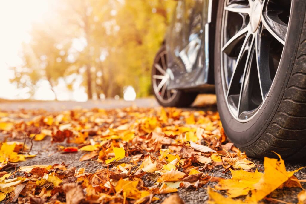 Travel Tips for Thanksgiving