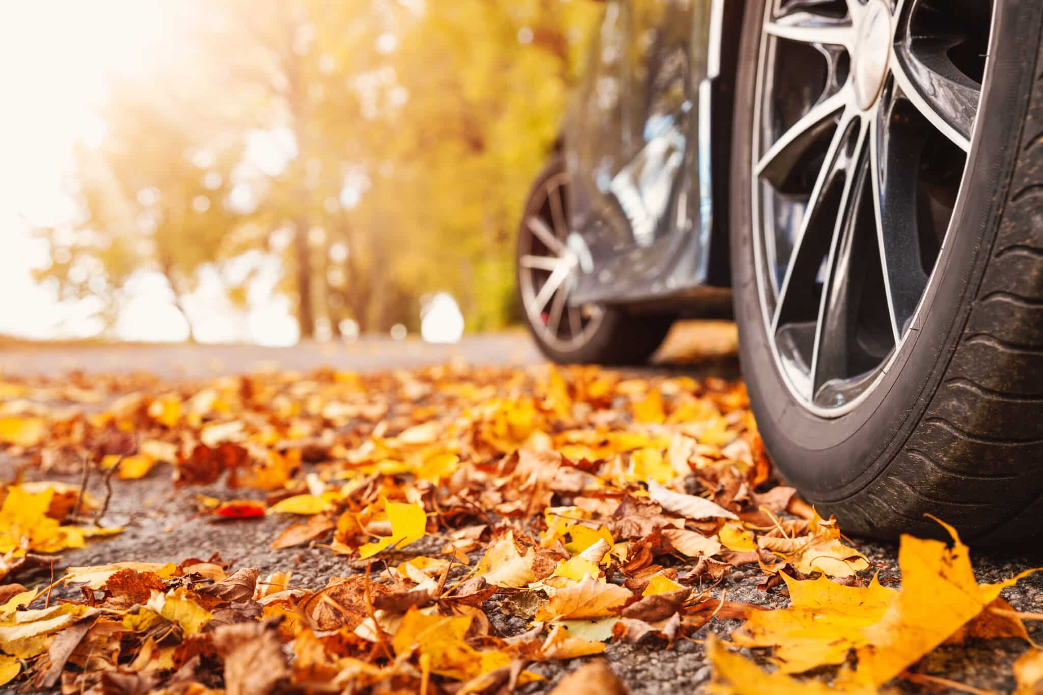Travel Tips for Thanksgiving